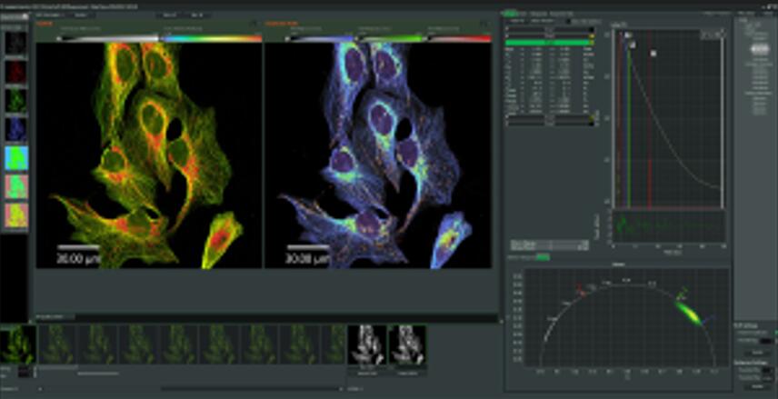 荧光寿命成像分析软件 NovaFLIM